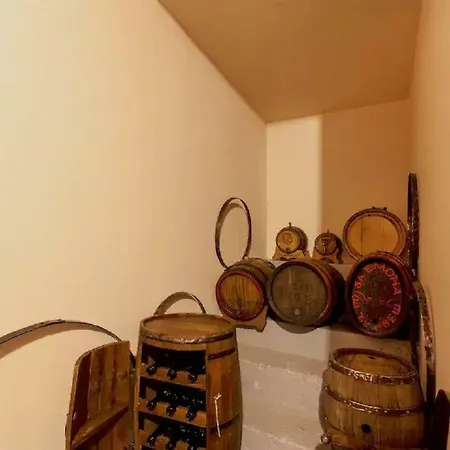 Beer & Wine Cellar Apartment